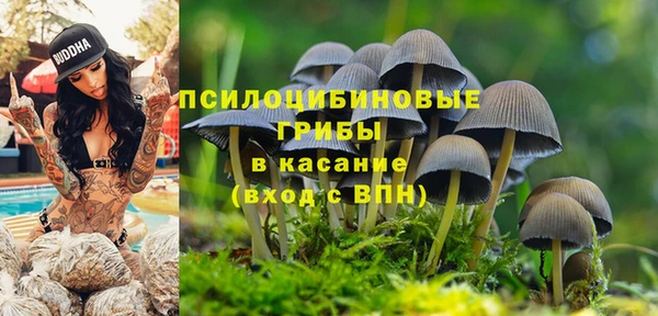 apvp Аркадак