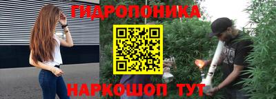 спайс Гатчина
