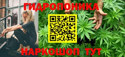 дистиллят марихуана Гай