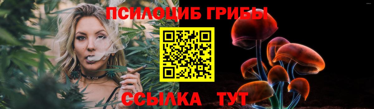 Кирово-Чепецк  Галлюциногенные грибы ЛСД  Псилоцибиновые грибы прущие грибы  даркнет сайт  Вход с VPN 